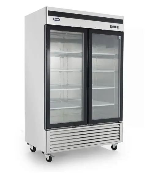 2 DOOR GLASS FREEZER NSF