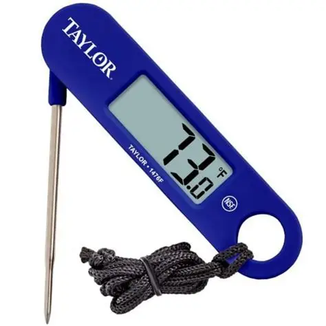WATERPROOF THERMOMETER